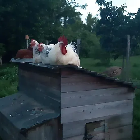 Maison Piscine Naturelle