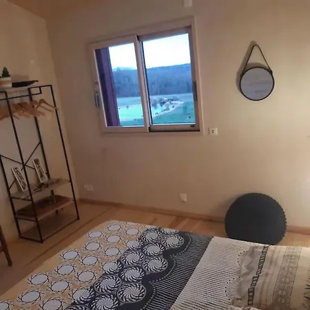 Maison Piscine Naturelle