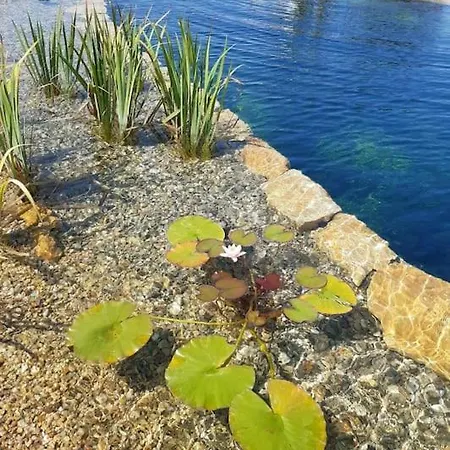 Maison Piscine Naturelle