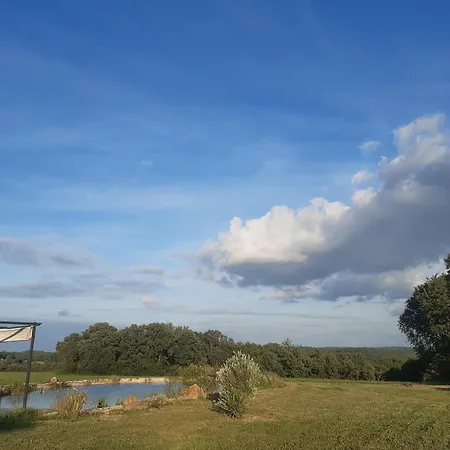 Maison Piscine Naturelle Sainte-Croix-de-Beaumont