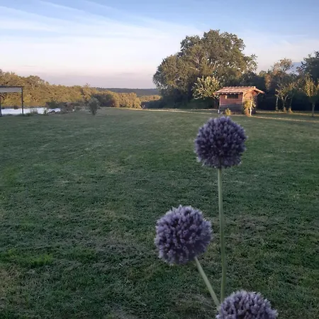 Maison Piscine Naturelle * Sainte-Croix-de-Beaumont