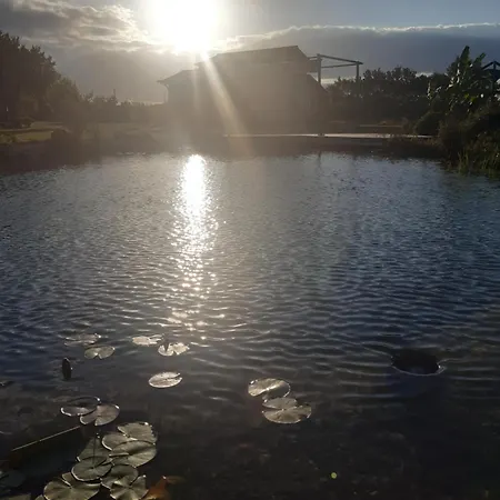 Maison Piscine Naturelle