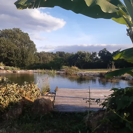 Maison Piscine Naturelle * Sainte-Croix-de-Beaumont