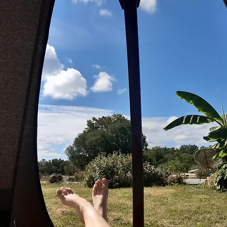 Maison Piscine Naturelle Holiday home *